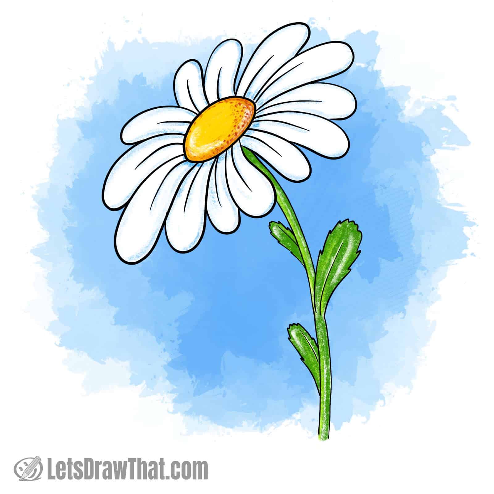 Daisy flower drawing colored-in