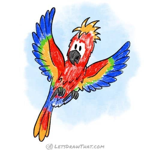 How to draw a bird: finished parrot drawing coloured-in as macaw