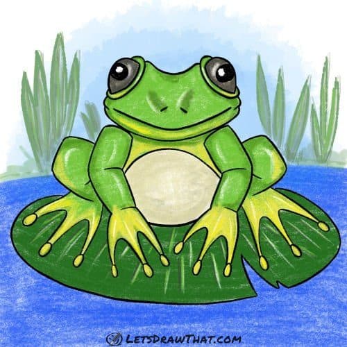 How to draw a frog: finished drawing coloured-in