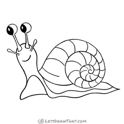 How to draw a snail: finished outline drawing