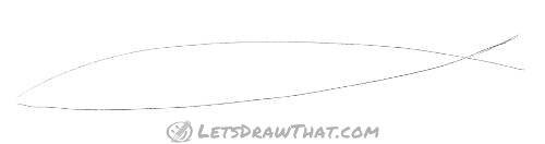 Drawing step: Sketch the fish body