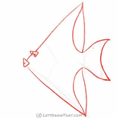 Drawing step: Draw the angelfish fish from the sketch