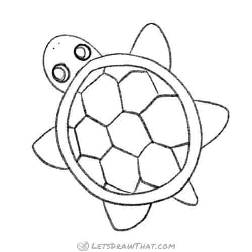 How to draw a turtle in a simple top view: finished outline drawing